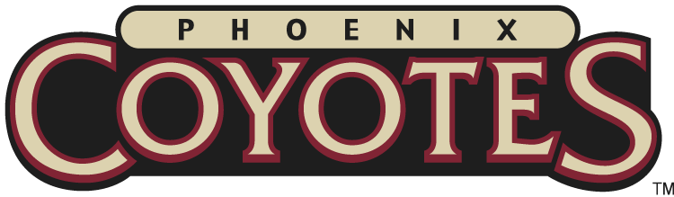 Phoenix Coyotes 2003-2008 Wordmark Logo iron on heat transfer
